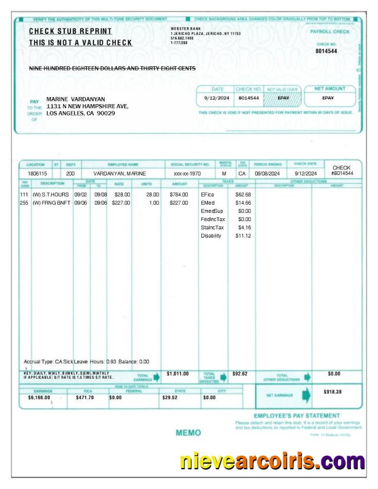 employee's pay statement